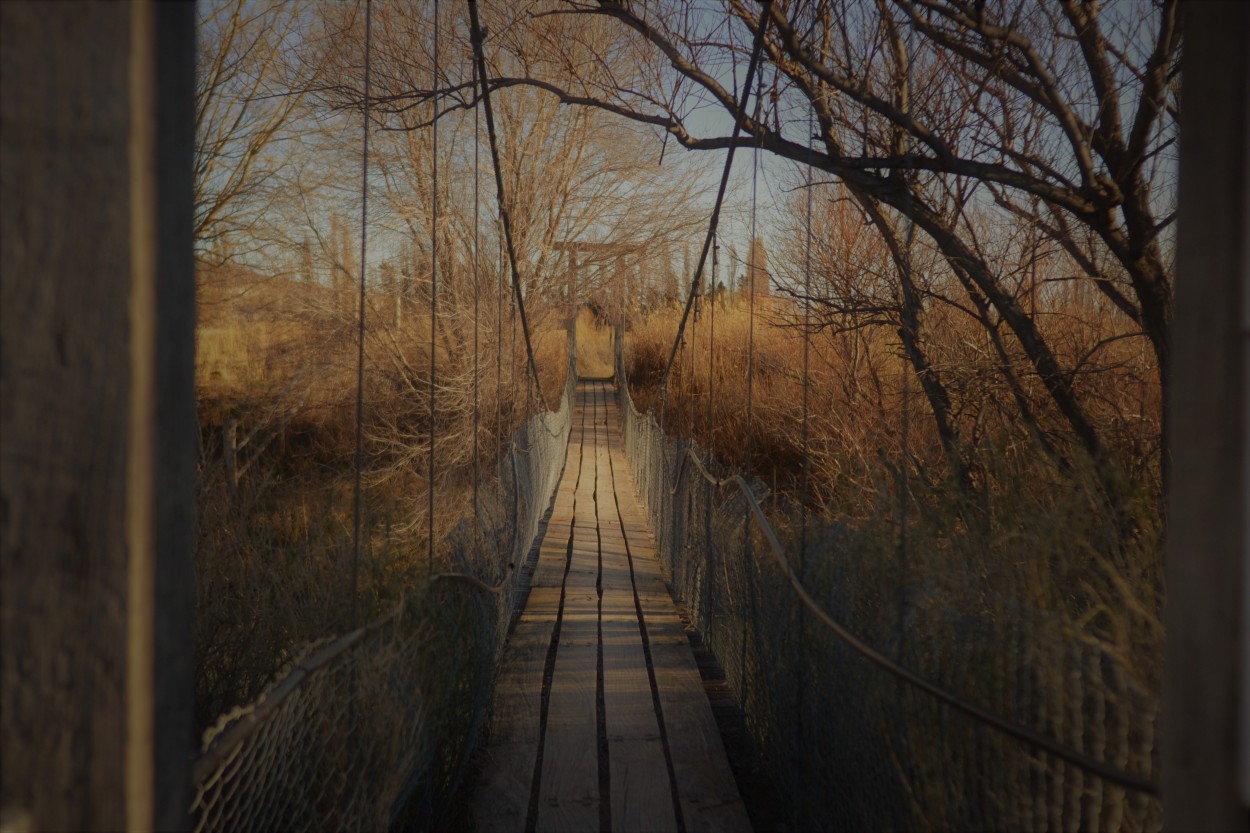 "puente" de Laura Aschieri