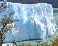 Extremo glaciar