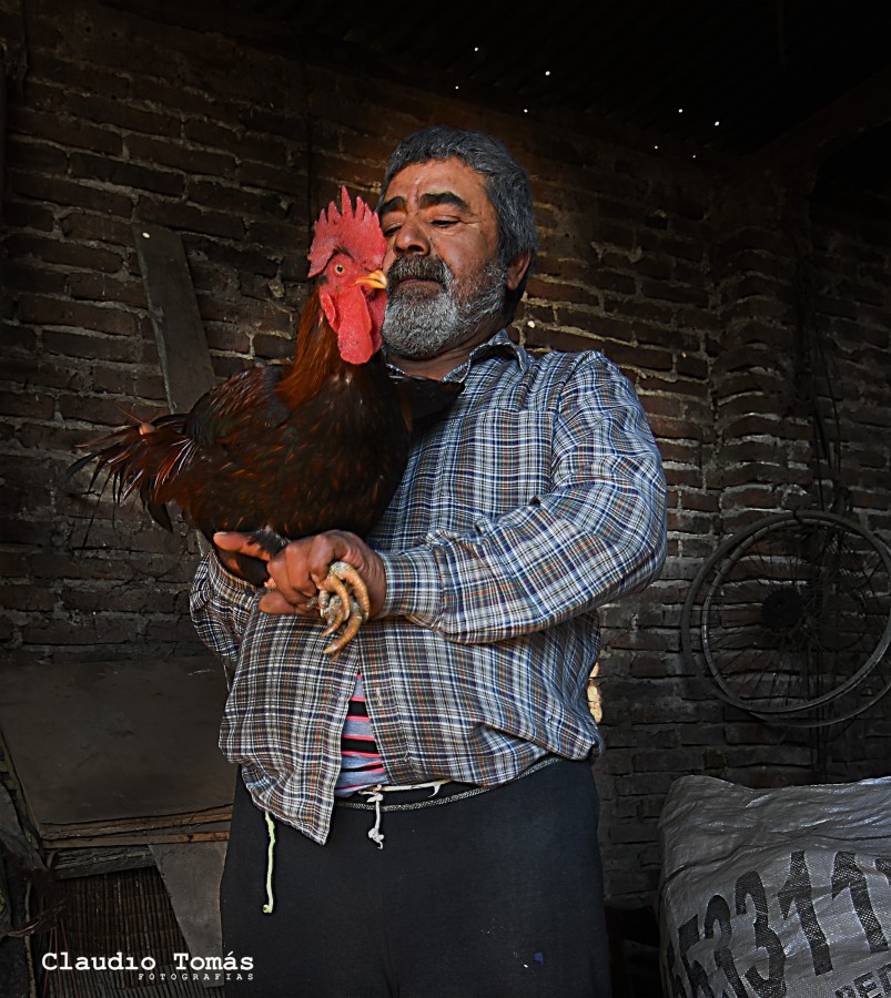 "Con el gallo" de Claudio Roberto Toms
