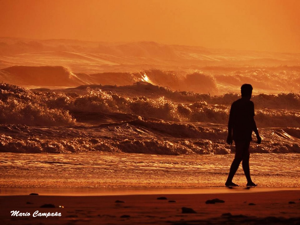 "Caminando al atardecer junto al mar..." de Mario Campaa