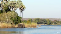 `Rio Zambezi`