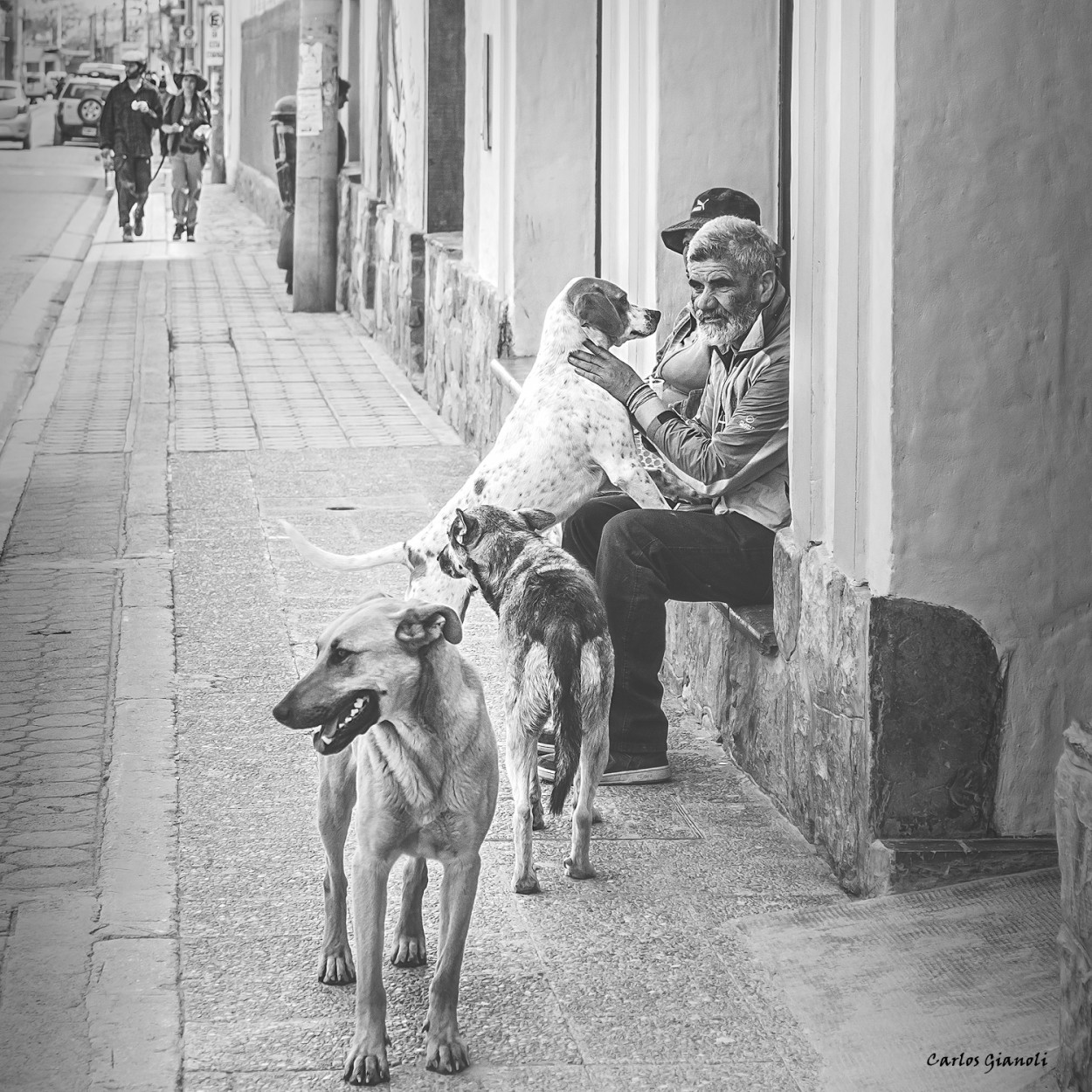 "El hombre y sus perros" de Carlos Gianoli
