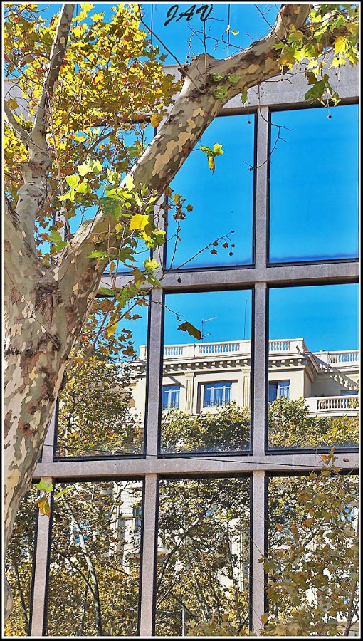 "En las ventanas. 3" de Joan A. Valentin Ruiz