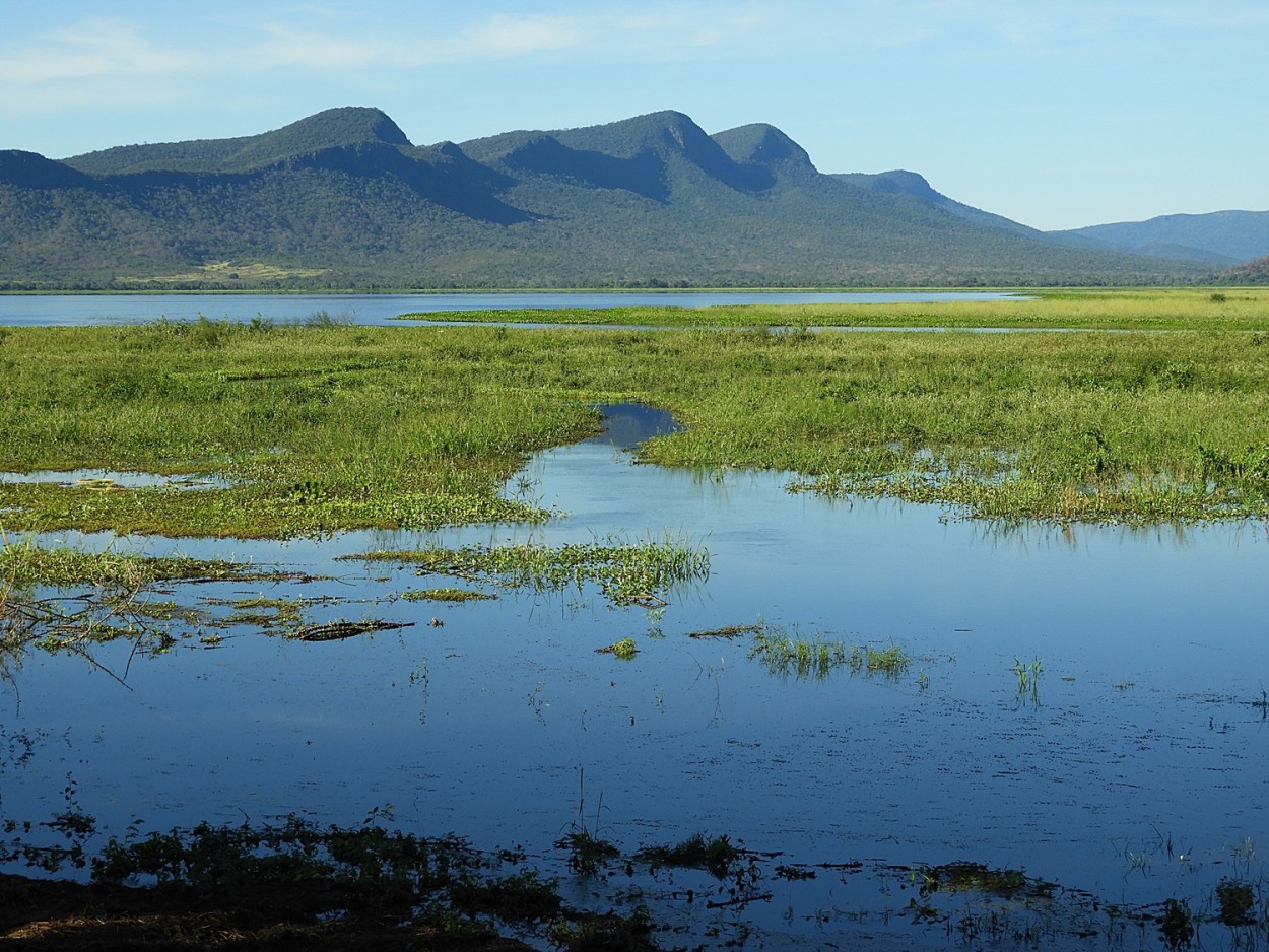 "O Pantanal e suas morrarias aps as fortes chuvas" de Decio Badari
