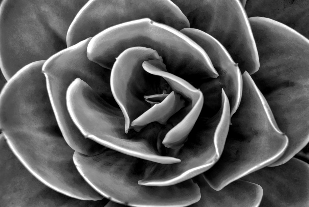 "Fleur" de Esmeralda Cita