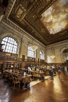 Biblioteca NY