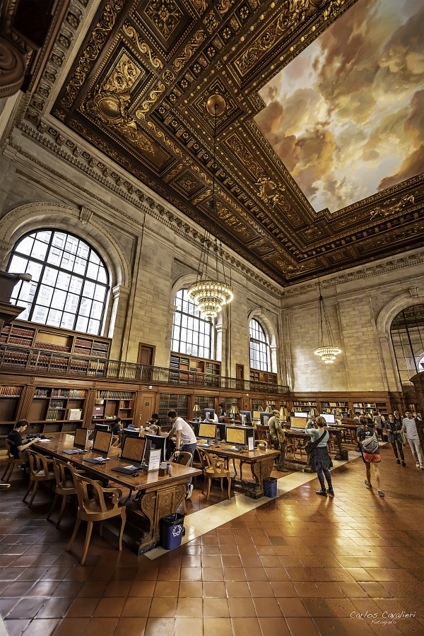 "Biblioteca NY" de Carlos Cavalieri