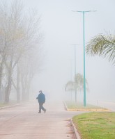 Cruzando en la niebla