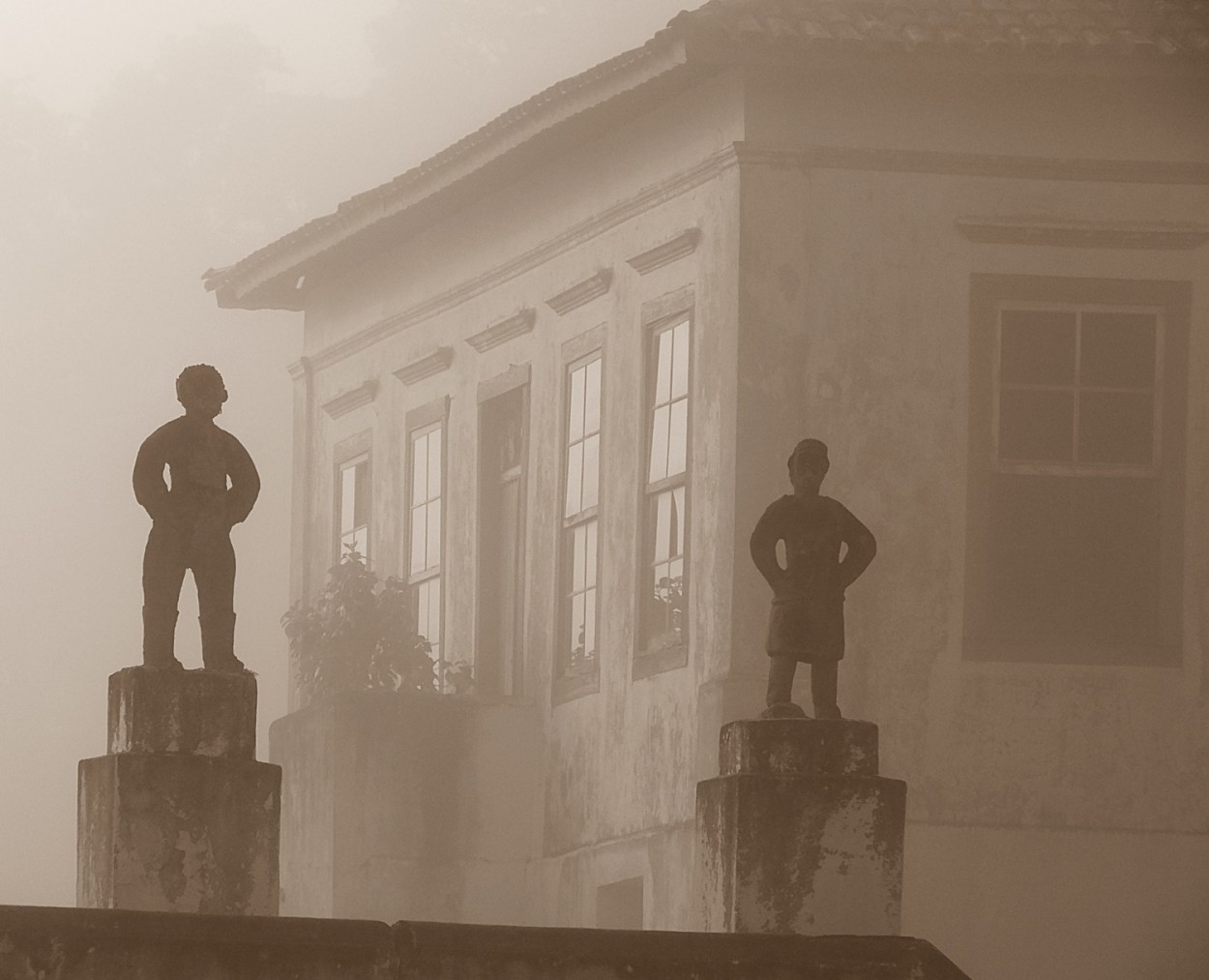 "Manh de neblina na velha fazenda cafeeira." de Decio Badari