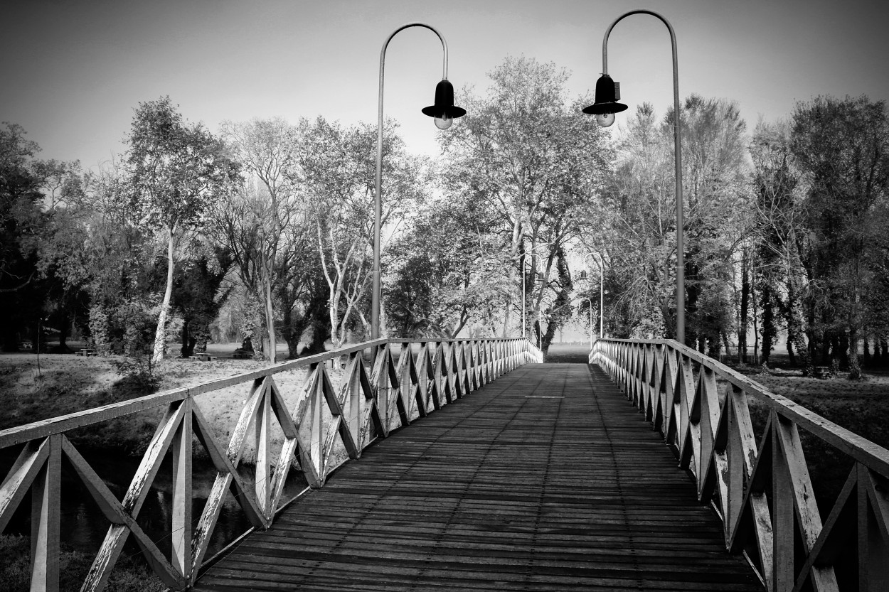 "El puente" de Eli - Elisabet Ferrari