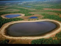 A imensido do Pantanal em Mato Grosso do Sul