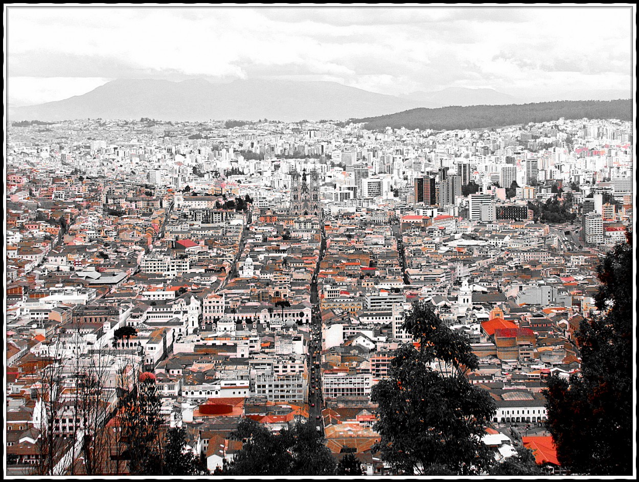 "Quito" de Laura Nardo