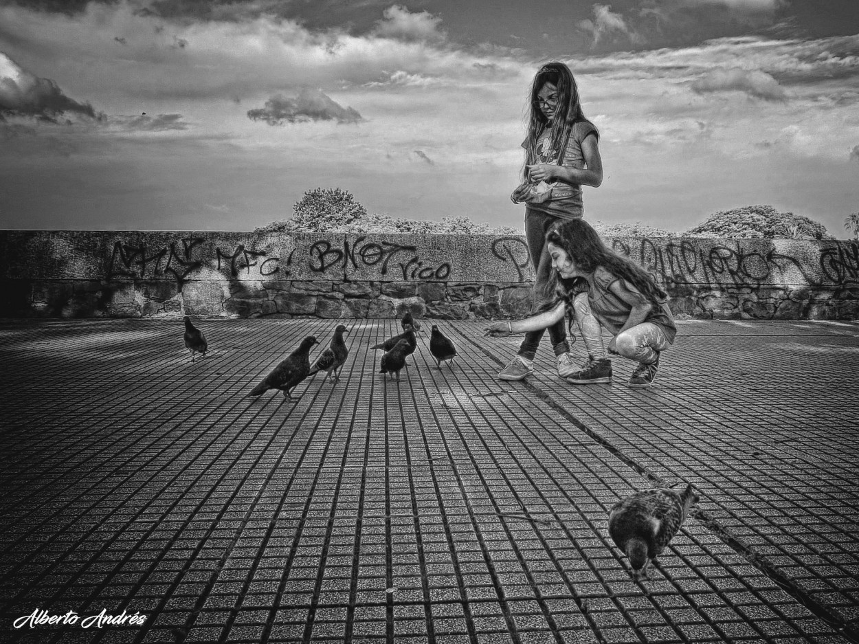 "Las palomas" de Alberto Andrs Melo