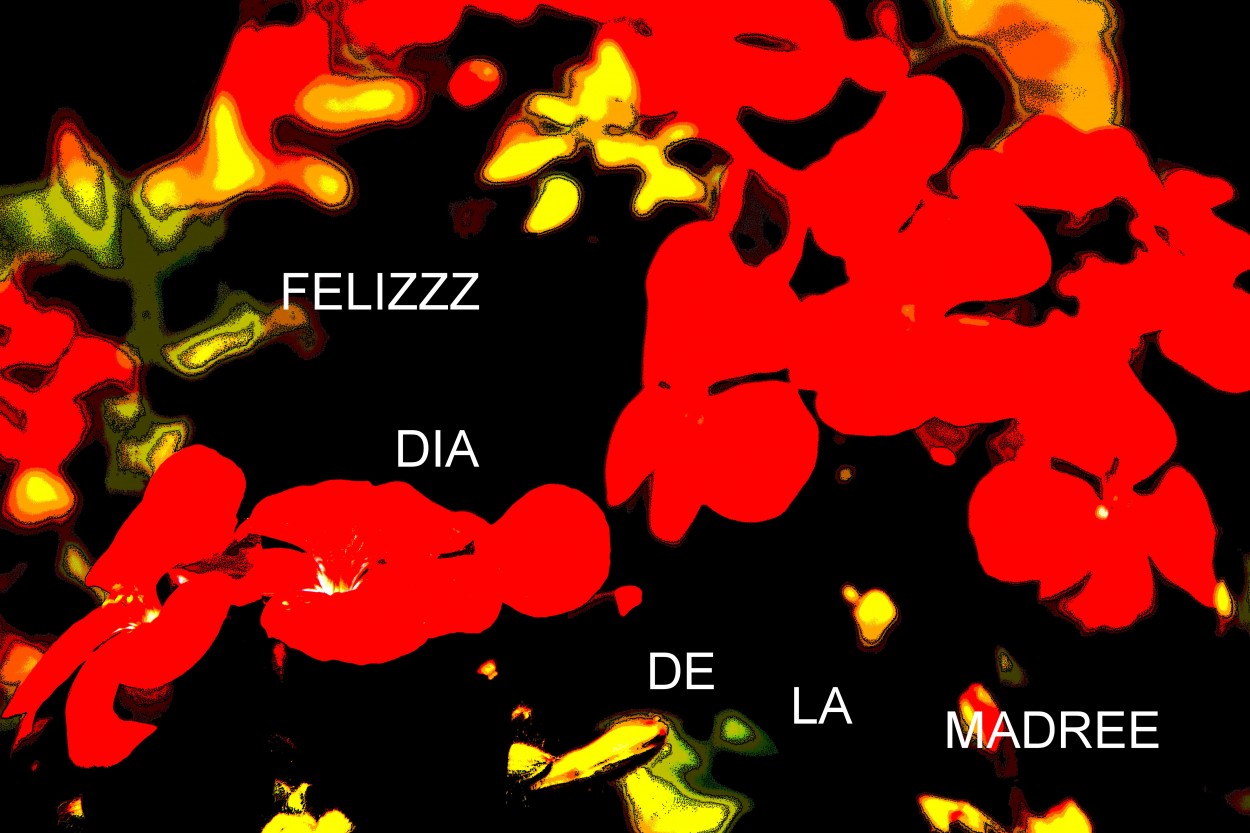 "FELIZZZZZZ DIA DE LA MADREEE!!!" de Maria Eugenia Cailly (euge)