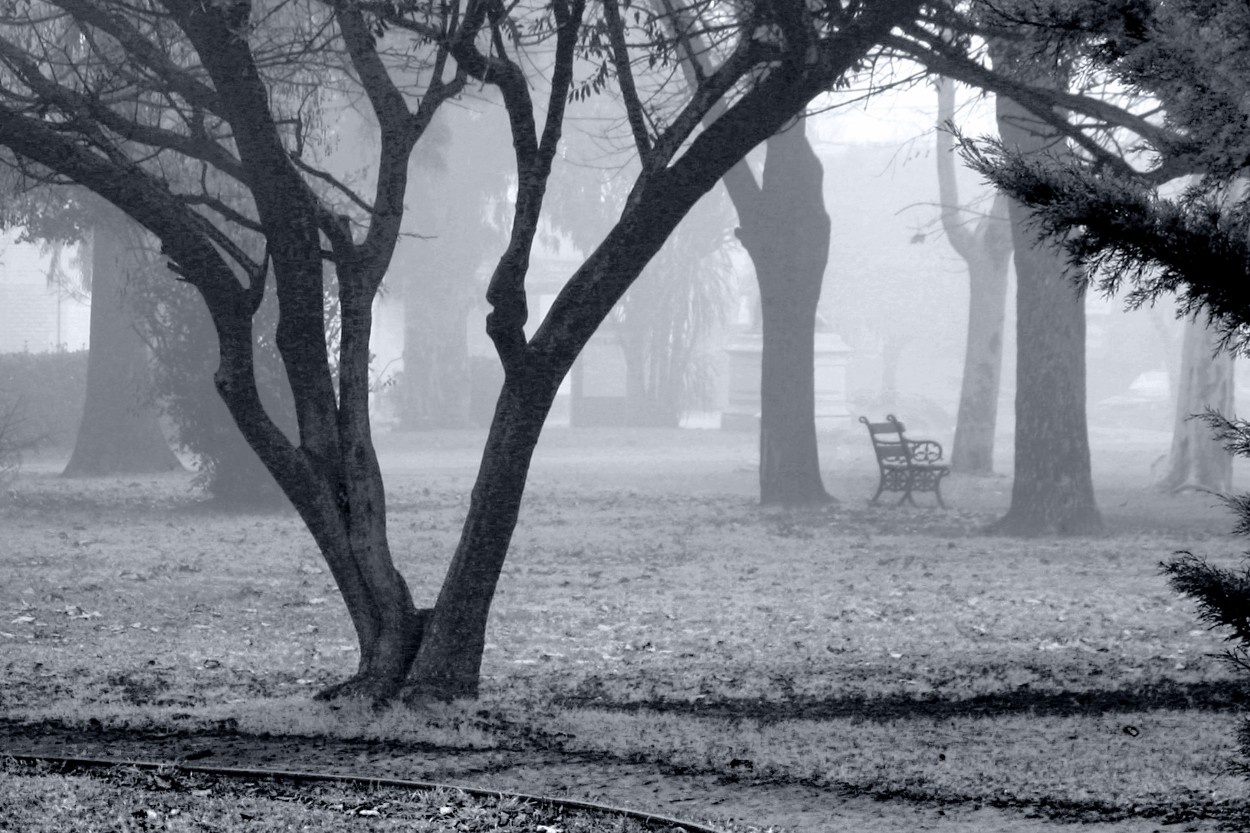 "Niebla maanera" de Eli - Elisabet Ferrari