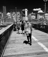 Walking on the bridge