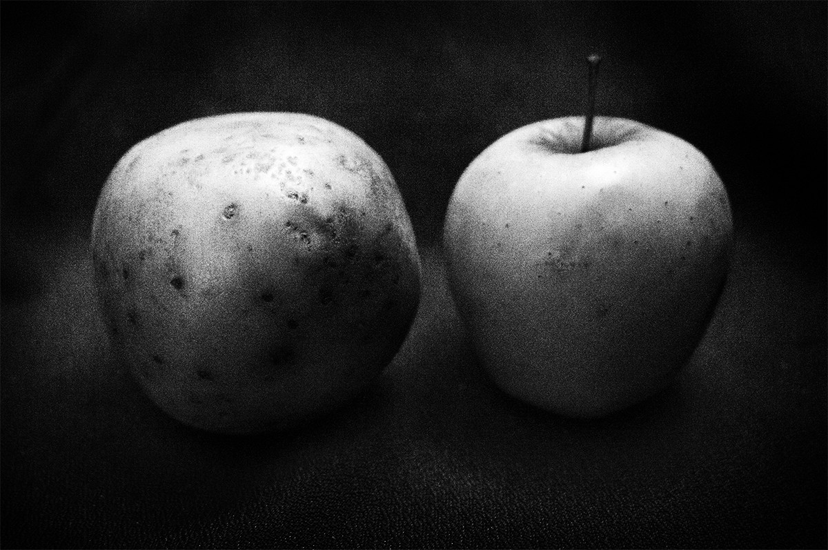 "La patata que quiso ser manzana" de Joan Arana