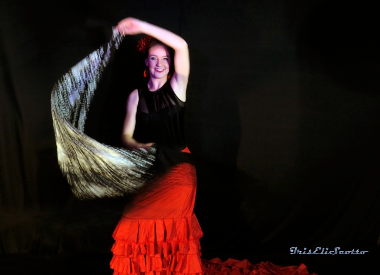 "`Giro flamenco`" de Iris Elizabeth Scotto