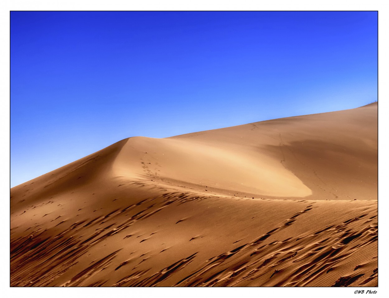 "La gran duna" de Walter Bourgeois