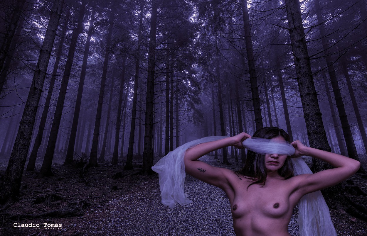 "En el bosque" de Claudio Roberto Toms