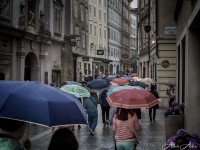 La marcha de los paraguas