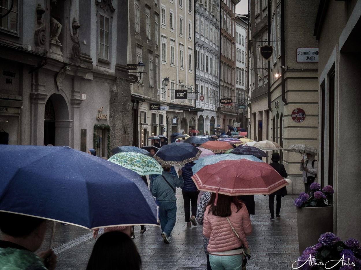 "La marcha de los paraguas" de Alberto Andrs Melo