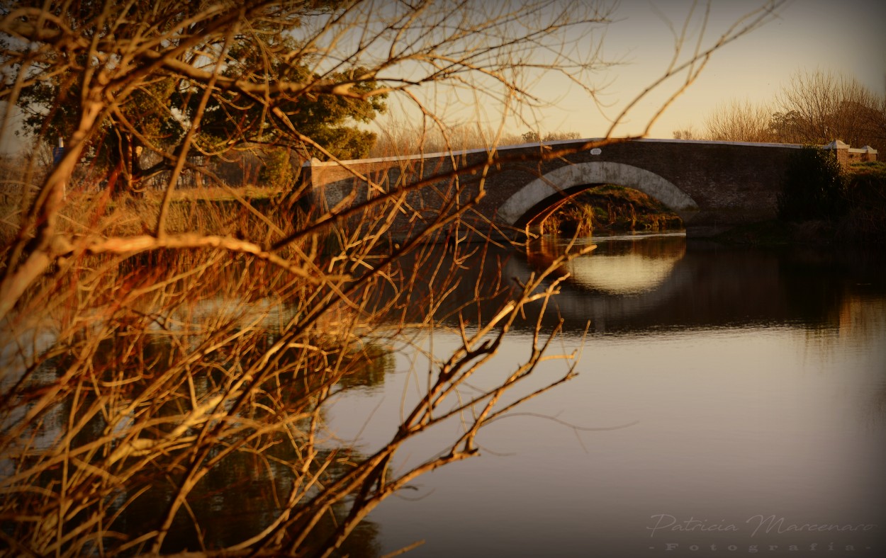 "Puente viejo" de Patricia Marcenaro