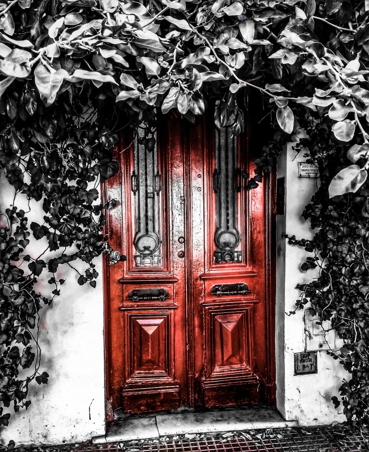 "La puerta roja" de Roberto Guillermo Hagemann