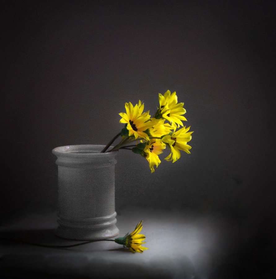"Flores amarillas" de Lorna Aguirre