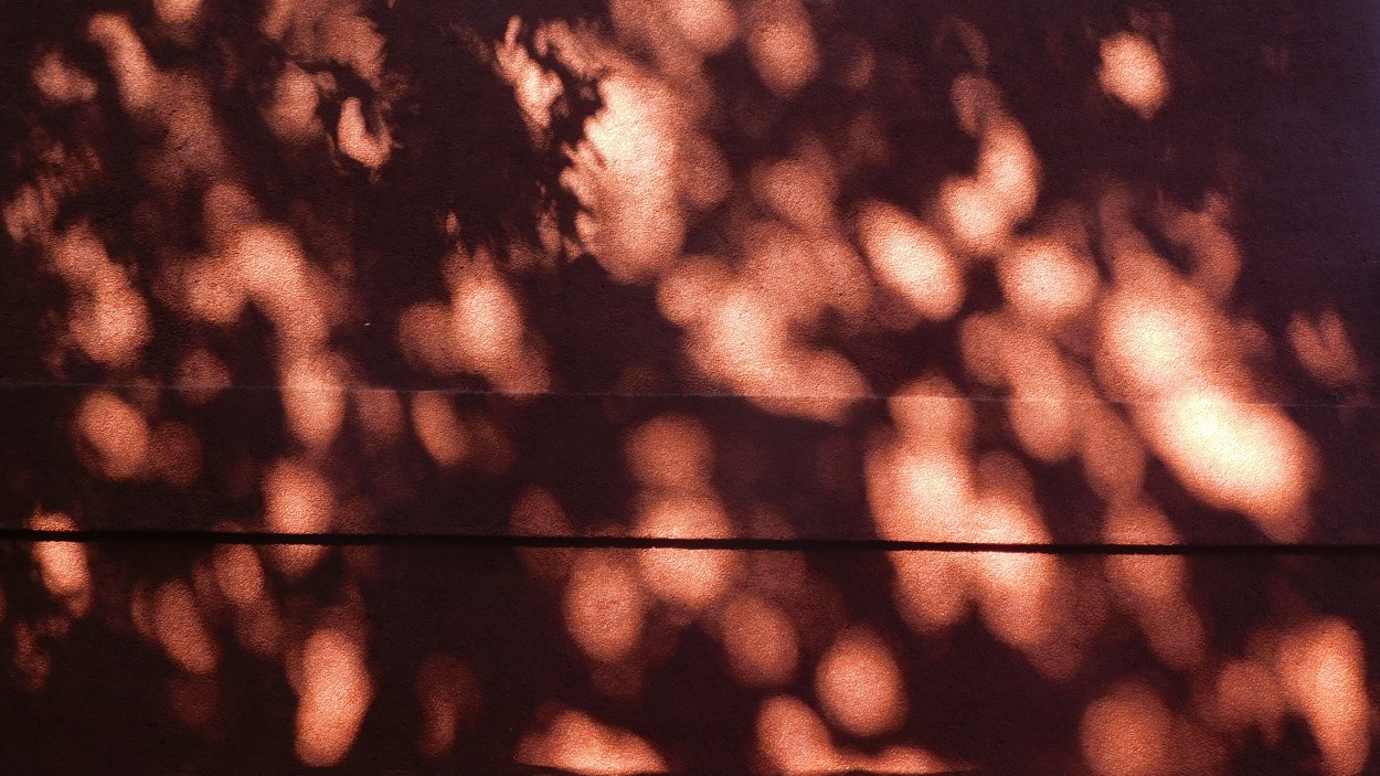 "Sombra en rojo" de Alberto Daniel Frete