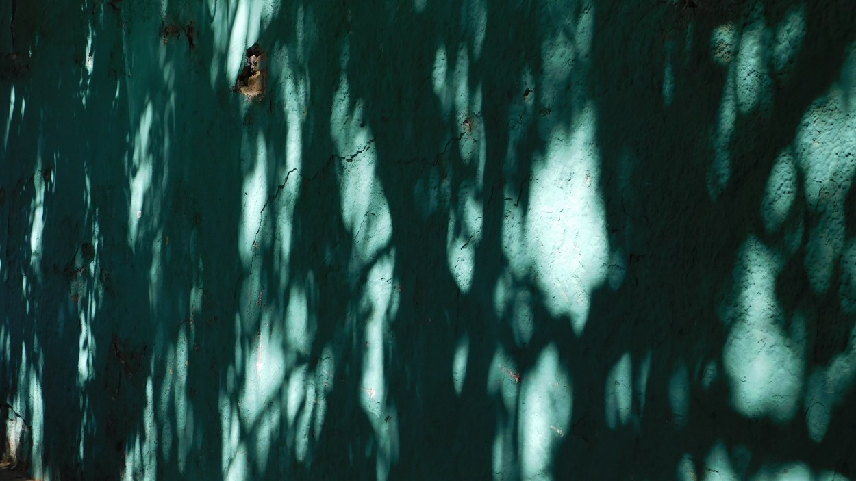 "Sombra en verde" de Alberto Daniel Frete