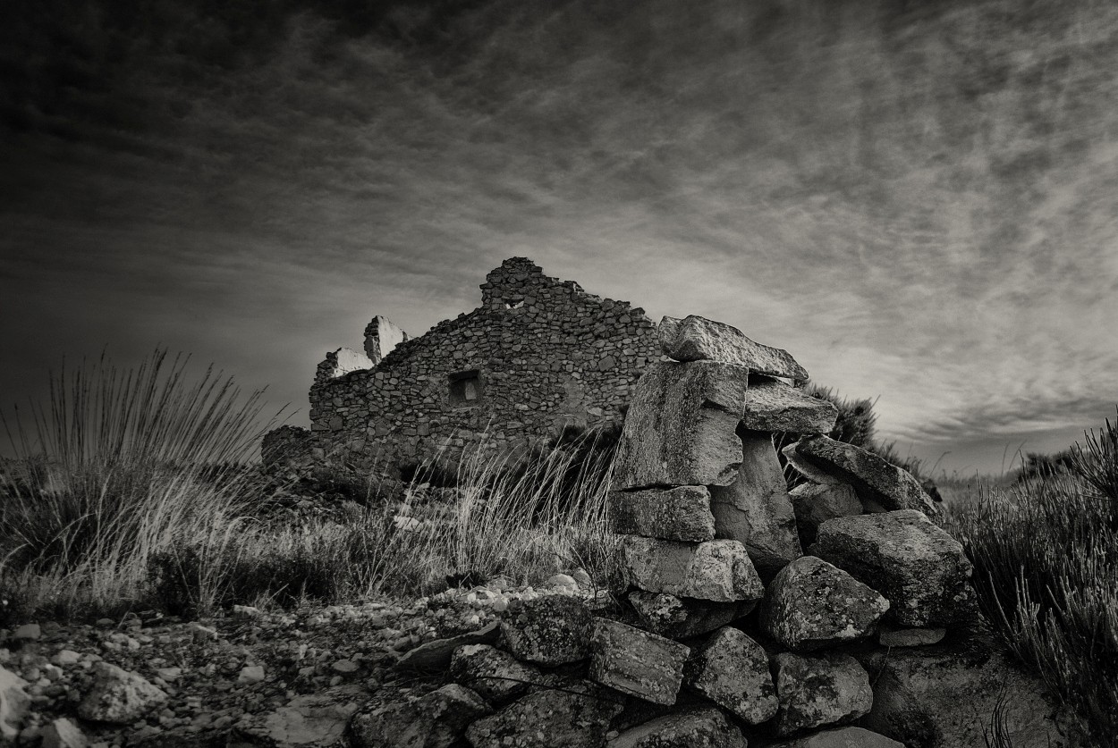 "Ruina" de Francisco Jos Cerd Ortiz