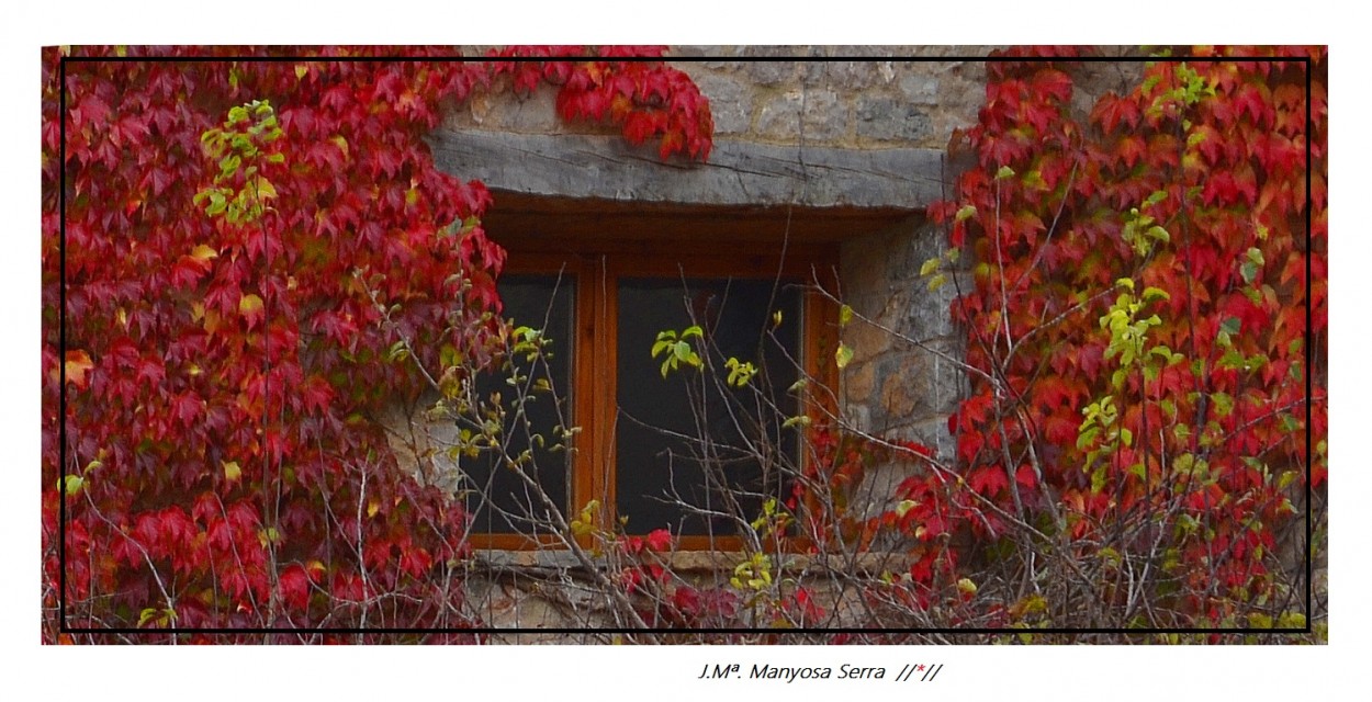 "La finestra de l`hivern" de Josep Maria Maosa Serra
