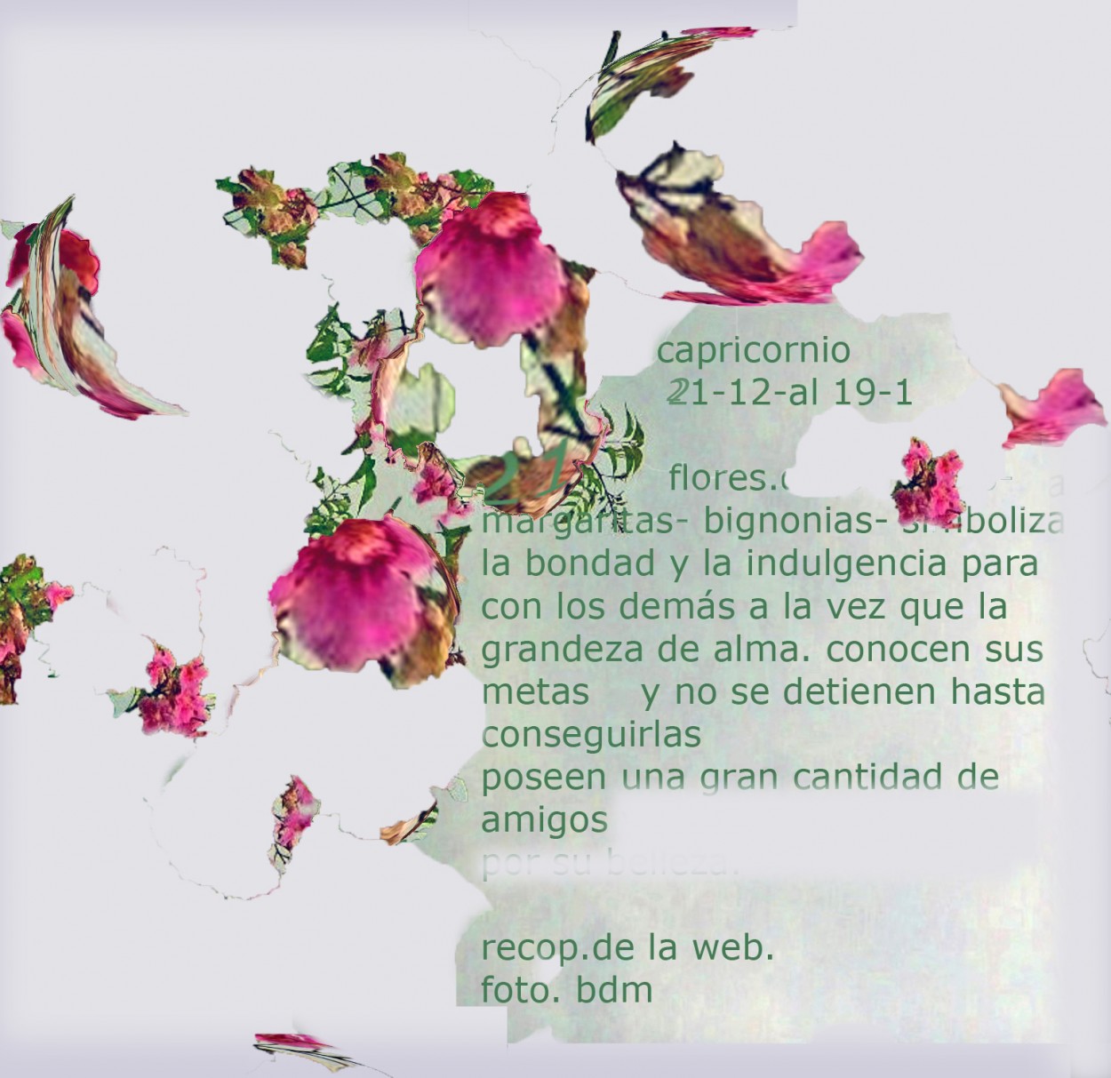 "capricornio 21 12 al 19 1" de Beatriz Di Marzio