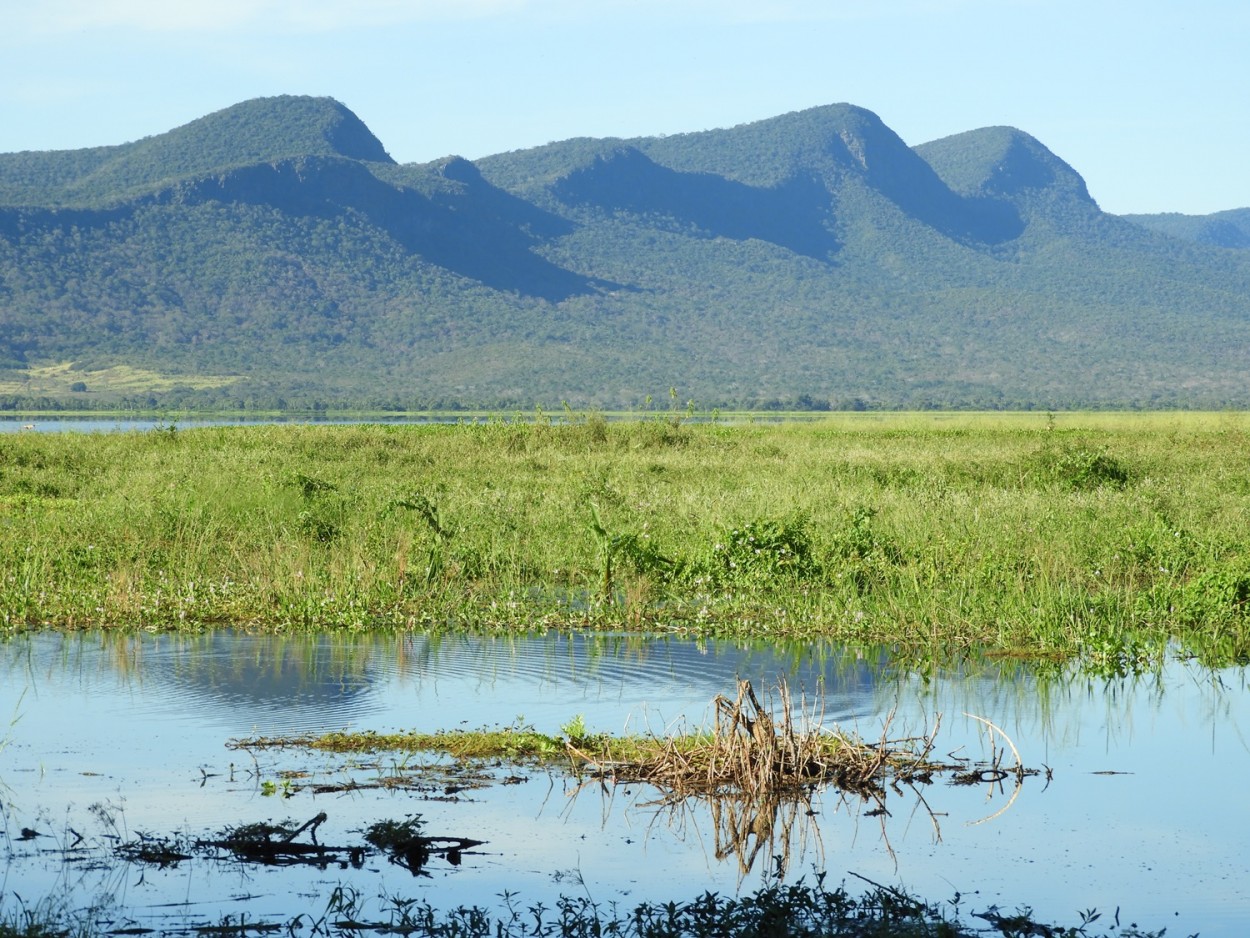 "O Pantanal de Corumb M.S. e as morrarias......." de Decio Badari