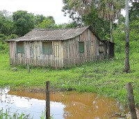 No ` rancho fundo ` bem no meio do Pantanal !