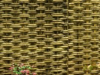 Um olhar no Bambu, formas e texturas !