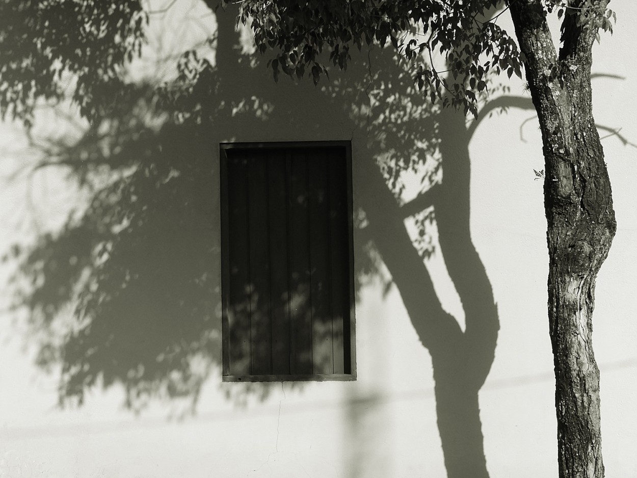 "Na minha rua, uma janela que nunca abre." de Decio Badari