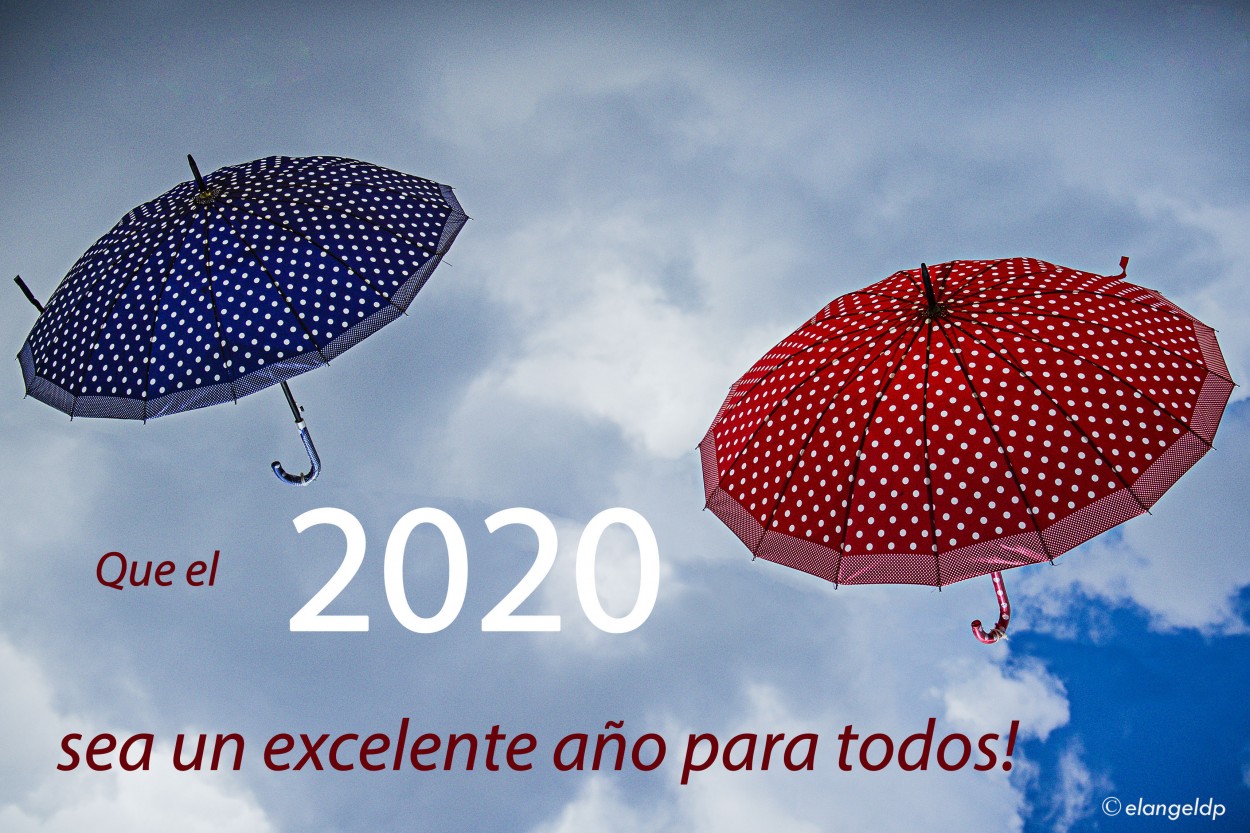 "Excelente 2020" de Angel De Pascalis