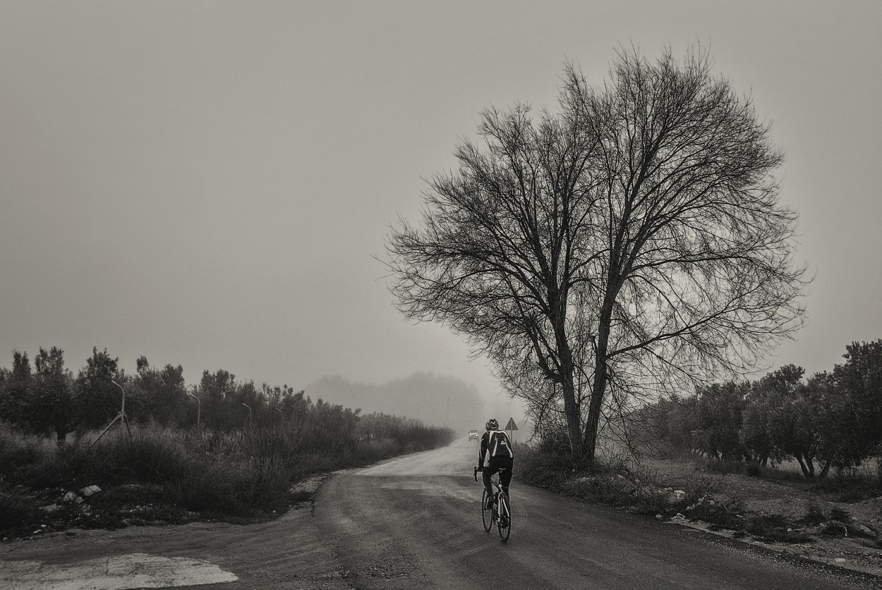 "Ciclista" de Francisco Jos Cerd Ortiz