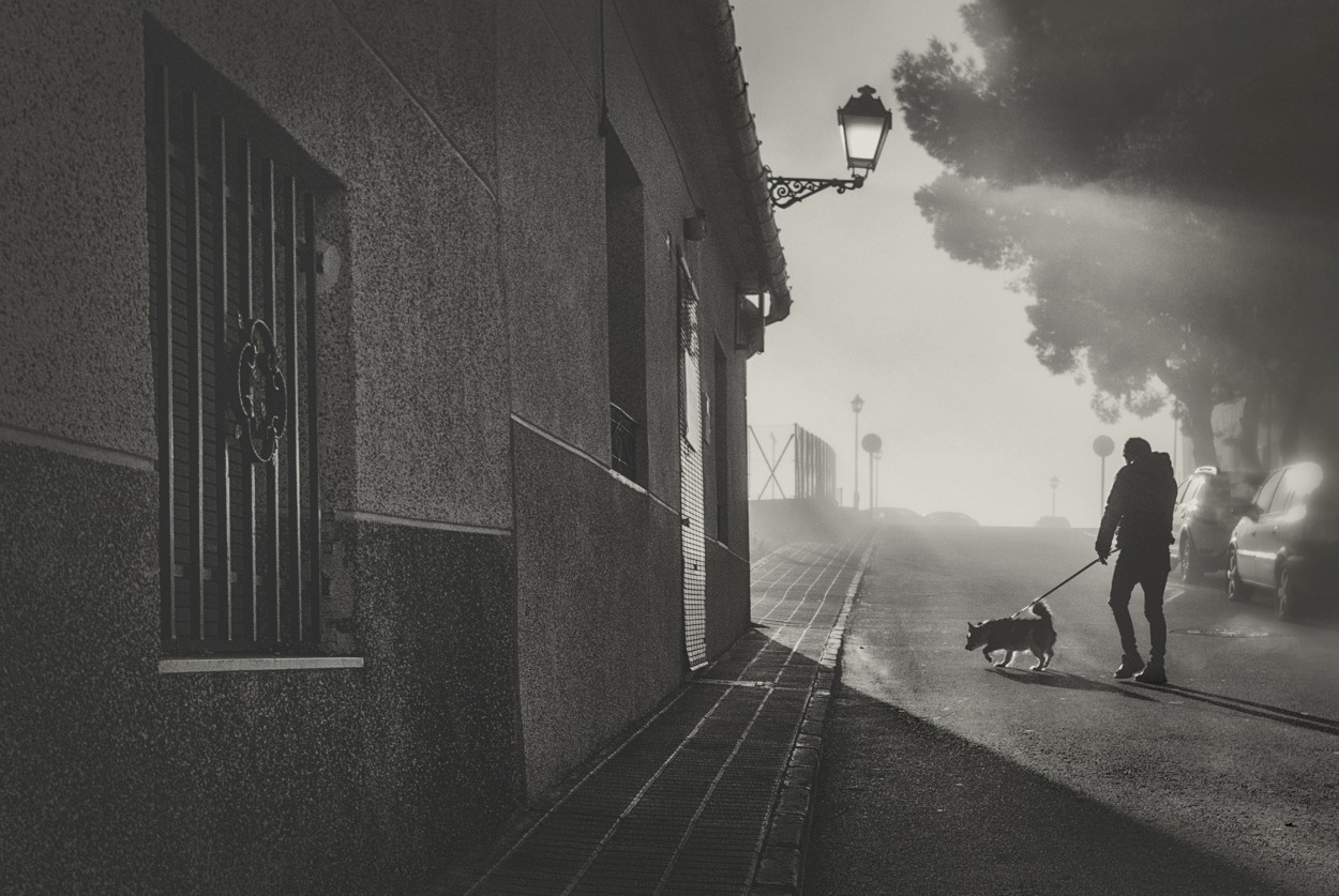 "Paseo matutino" de Francisco Jos Cerd Ortiz