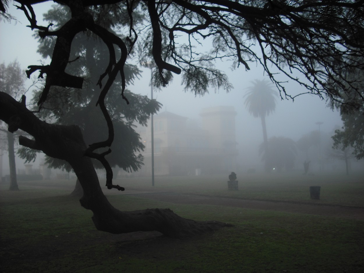 "Niebla matutina" de Eduardo Torramorell
