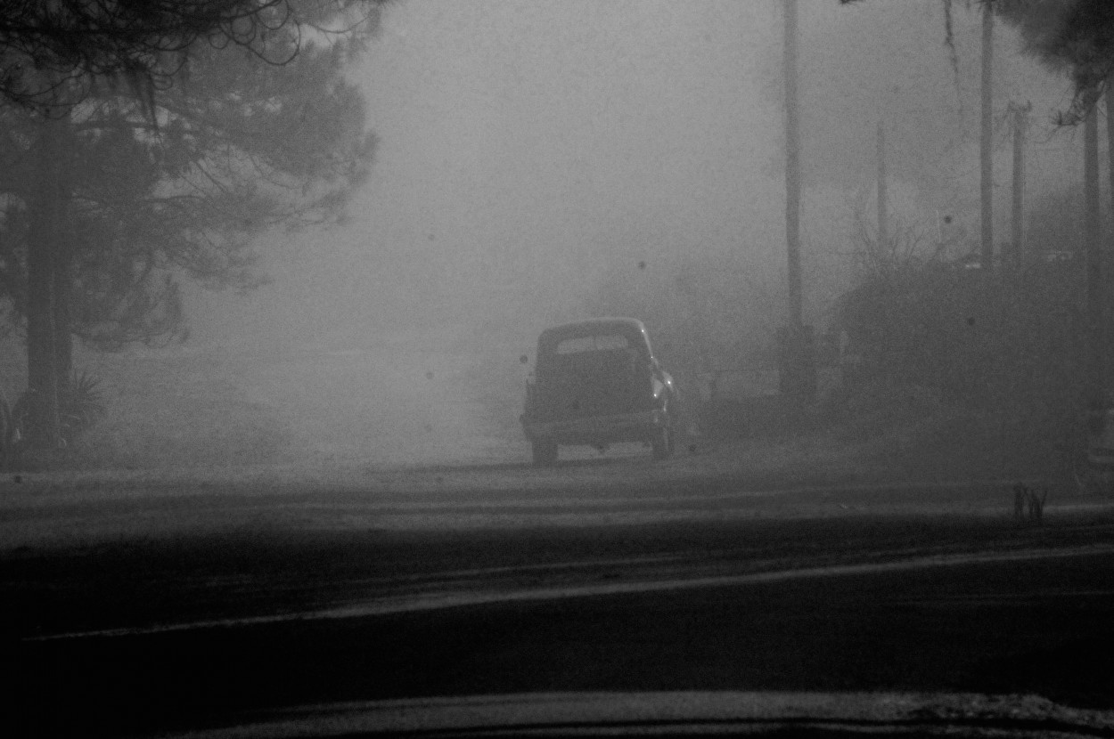"En la niebla" de Javier Andrade