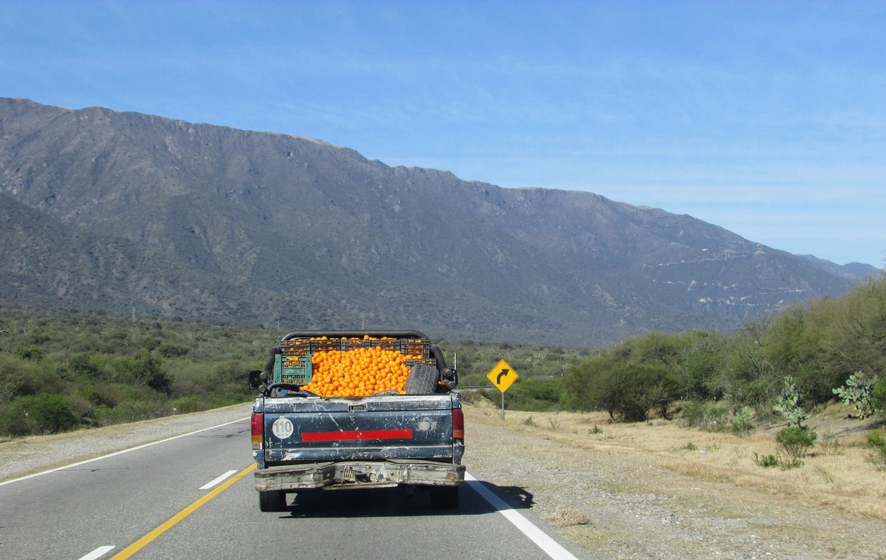 "Las naranjas se pasean..." de Juana Ins Ruiz Diaz