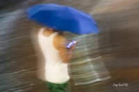 app umbrella