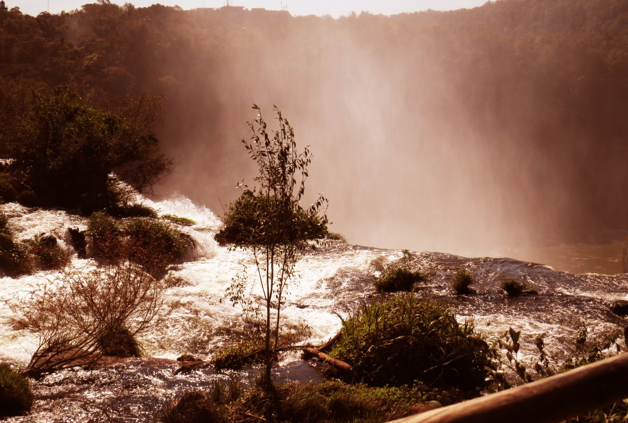 "`Cataratas Iguaz`" de Iris Elizabeth Scotto