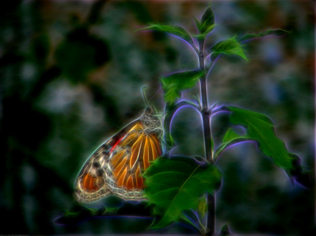 "Butterfly..." de Maria Isabel Hempe