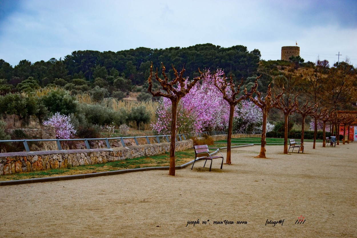 "Anuncia la primavera" de Josep Maria Maosa Serra