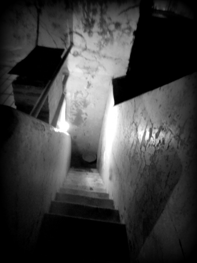"Al fondo de la escalera." de Daniela Romani