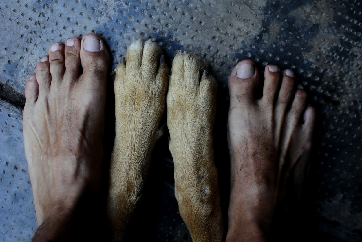 "pies descalzos" de Luis Silva